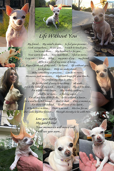 Life Without You
